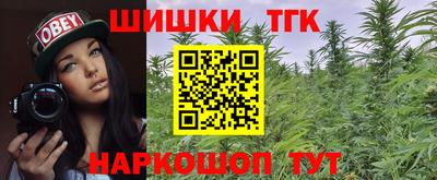 шишки Будённовск